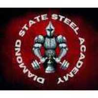 Diamond State Steel Academy Logo
