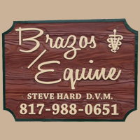 Brazos Equine Services Logo