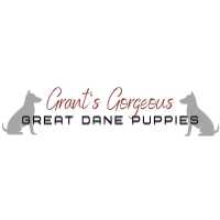 Grant's Gorgeous Great Dane Puppies Logo