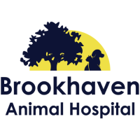 Brookhaven Animal Hospital Logo