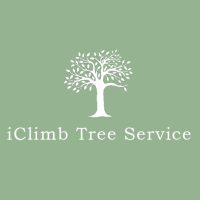 iClimb Tree Service Logo