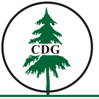 Conifer Dental Group Logo