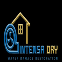 Intensa Dry Logo
