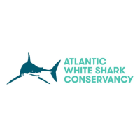 AWSC Shark Center Provincetown Logo