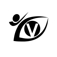 Vision Martial Arts Logo
