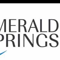 Emerald Springs Pools & Spas Logo
