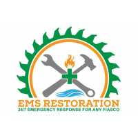 Emergency Mitigation Services Restoration INC Logo