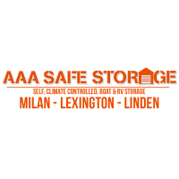 AAA Safe Storage Logo