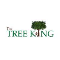 The Tree King Logo