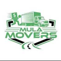 Mula Movers Logo