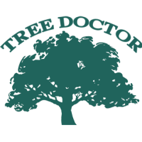 Tree Doctor Tree Services Logo