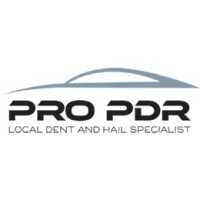 Pro PDR Logo