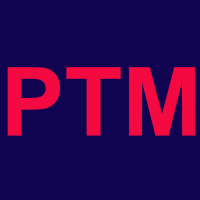 Partime Movers Logo
