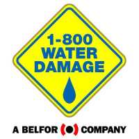 1-800 WATER DAMAGE of NE Dallas and SE Collin Logo