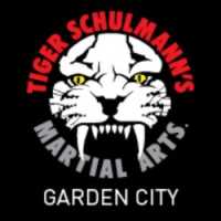 Tiger Schulmann's Martial Arts (Garden City, NY) Logo