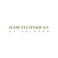 Hair Techniques Of Delavan Logo