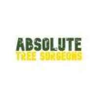 Absolute Tree Surgeons LLC Logo