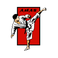American Martial Arts Systems Logo