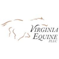 Virginia Equine Pllc Logo