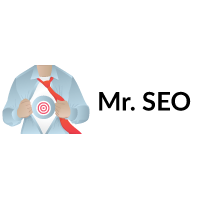 Mr. SEO Logo