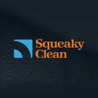 The Squeaky Clean Company Logo