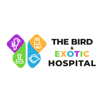 The Bird & Exotic Hospital Logo