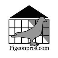 Pigeon Pros Logo