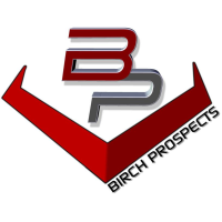 Birch Prospects Logo