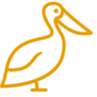 Pelican Pools Logo