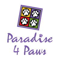 Paradise 4 Paws Logo