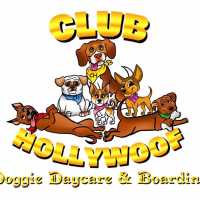 Club Hollywoof Doggie Daycare & Boarding Logo