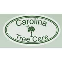 Carolina Tree Care, LLC Logo
