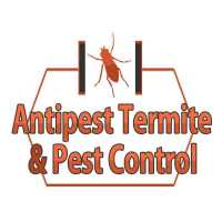 Antipest Termite & Pest Control Logo