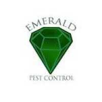 Emerald Termite & Pest Control Logo