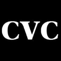 Custom View Contracting Logo