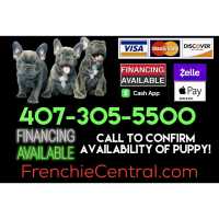 FRENCHIE CENTRAL Logo