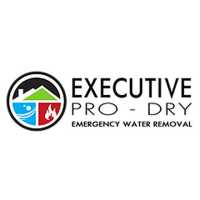 Executive Pro-Dry Water, Sewage & Mold Remediation - Colorado Springs, CO Logo