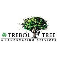Trebol Landscaping & Tree Services LLC Logo