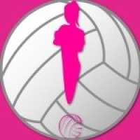 Dig This! Volleyball Club Logo