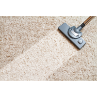 Peachtree Absolute carpet care Logo