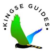 Kingse Guides Logo