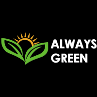 Always Green Carpet Cleaner of Brooklyn Logo