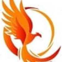 Phoenix Surfaces Logo
