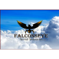 Falconseye Aerial Solutions, LLC Logo