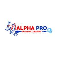 Alpha Pro Exterior Cleaning Logo