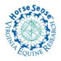 Horse Sense Balanced Optimal Nutrition Logo