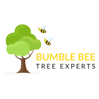Bumble Bee Tree Experts Longmont Brighton Colorado Logo