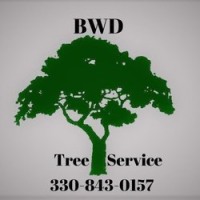BWD Tree Service Logo