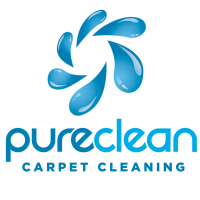 Pure Clean Logo