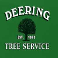 Deering Tree Service Logo